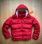 Mcgregor outdoor lichtgewicht warm ( ski ) jack jas rood 44, Ophalen of Verzenden, Zo goed als nieuw, Maat 42/44 (L), Jack