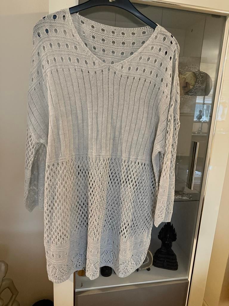 Prachtige gehaakte grijze trui maat 48 nieuw, Kleding | Dames, Grote Maten, Ophalen of Verzenden, Nieuw, Grijs, Trui of Vest