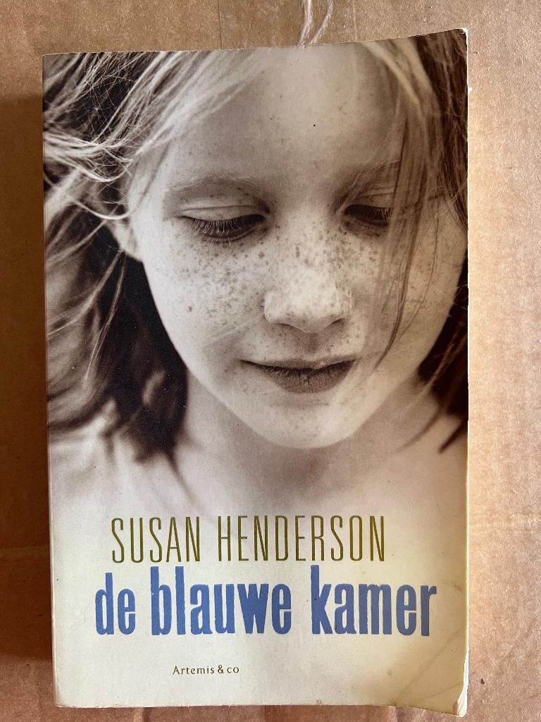 Susan Henderson: De blauwe kamer, Boeken, Ophalen of Verzenden, Gelezen, Susan Henderson