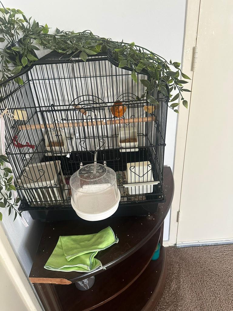 Kanarie zingt veel, Dieren en Toebehoren, Vogels | Hokken en Kooien, Ophalen, Zo goed als nieuw, Metaal, Vogelkooi