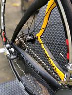 Pinarello FP TEAM, Carbon, Zo goed als nieuw, Meer dan 20 versnellingen, 53 tot 57 cm