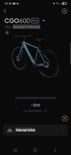 E-Bike Fietsen CGO600Pro Tenways, Ophalen of Verzenden, Zo goed als nieuw, Overige merken