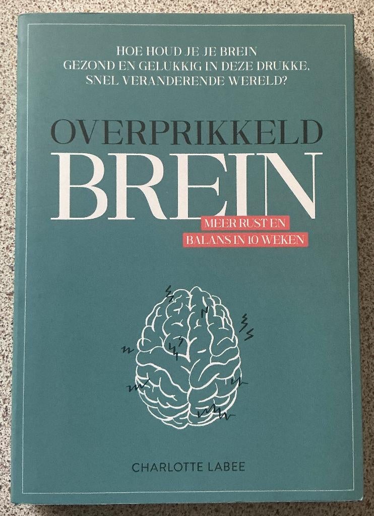 Overprikkeld brein - Charlotte Labee, Ophalen of Verzenden, Zo goed als nieuw, Charlotte Labee