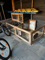 2 lieve aaibare konijnen zoeken nieuw baasje!, Dieren en Toebehoren, Konijnen, Meerdere dieren