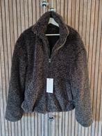 Zara Teddy Jas - Heerlijk warm!, Bruin, Zara, Nieuw, Ophalen of Verzenden