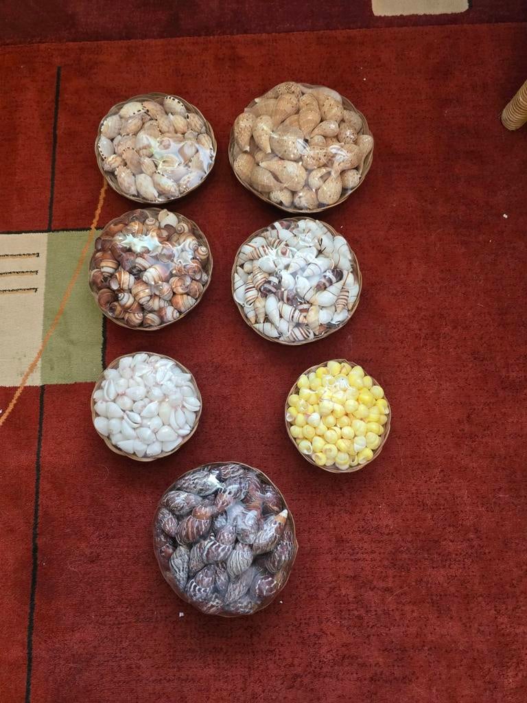 Nog wat pakketjes met kleine schelpjes, voor de knutsel ??, Ophalen of Verzenden