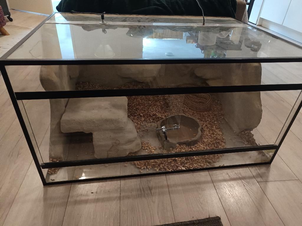 Terrarium, Dieren en Toebehoren, Ophalen, Gebruikt, Terrarium of Paludarium