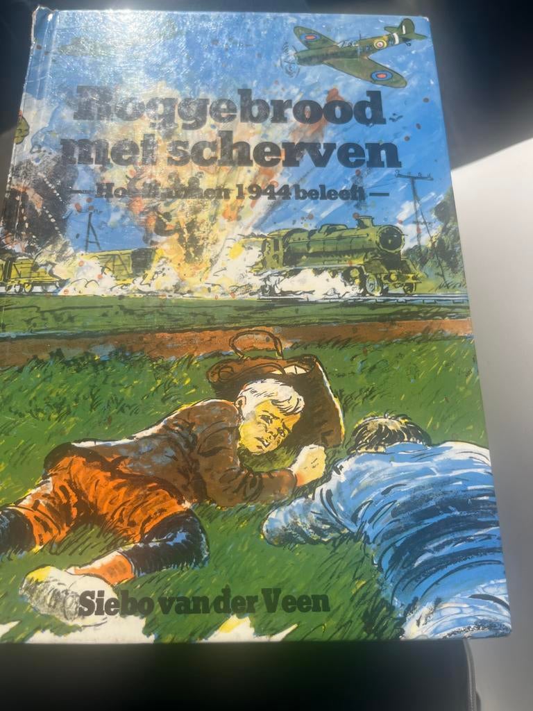 Roggebrood met scherven - Siebo van der Veen (1984), Ophalen of Verzenden, Tweede Wereldoorlog, Gelezen, Algemeen