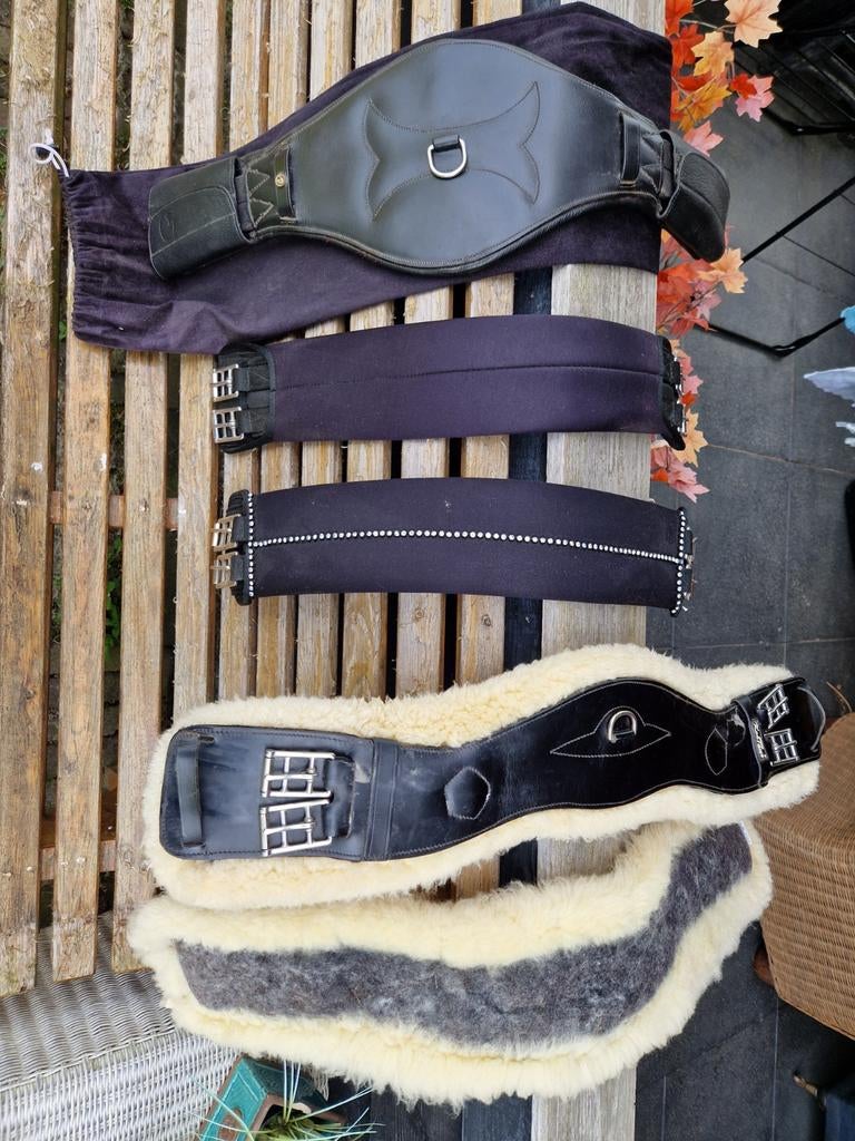 Dressuursingels Kentaur Geneva,Neopreen,TopFitAnatomicDeluxe, Ophalen of Verzenden, Zo goed als nieuw, Dressuur