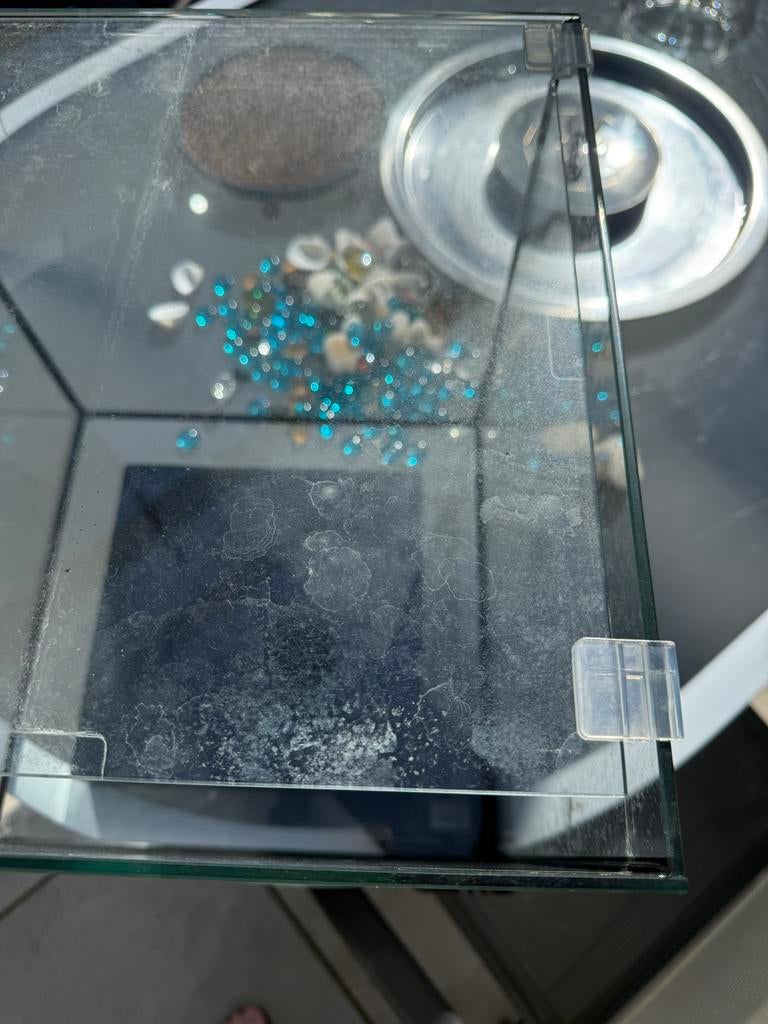 Aquarium, Dieren en Toebehoren, Ophalen of Verzenden, Gebruikt, Leeg aquarium