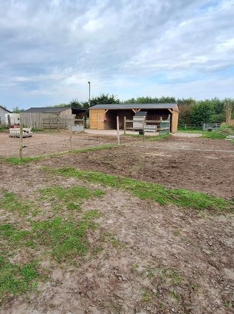 Wei met stal, Weidegang