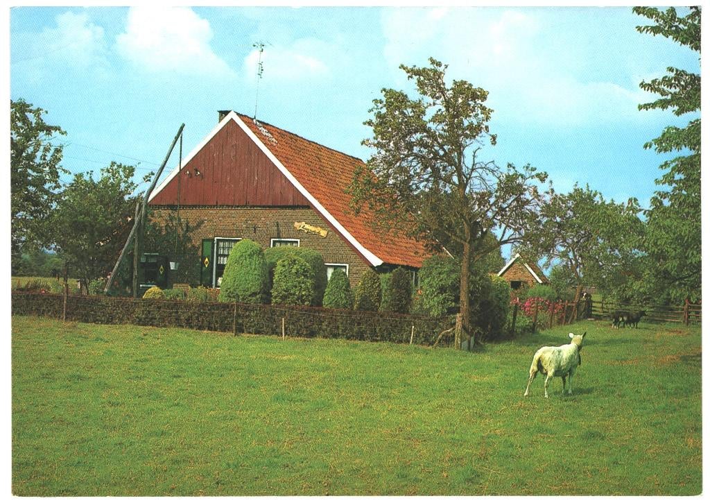 993264 Winterswijk 80+ Gld Saksische Boerderijtje in t Woold, Ophalen of Verzenden, 1980 tot heden, Gelopen, Gelderland