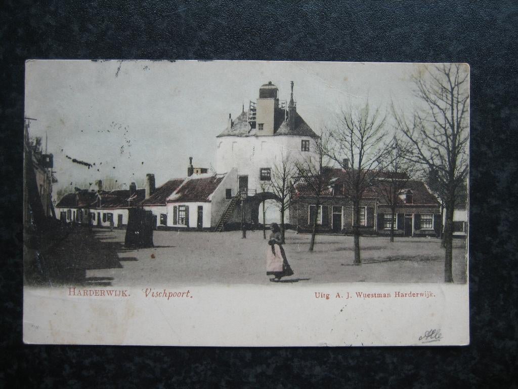 HARDERWIJK Vuurtoren en Vischpoort B 1904, Ophalen of Verzenden, Voor 1920, Gelderland