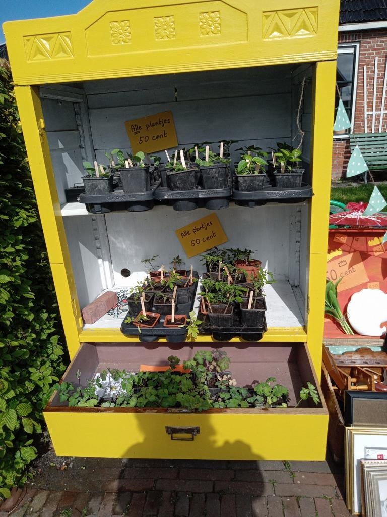 Kraampje Stedum, Tuin en Terras, Ophalen
