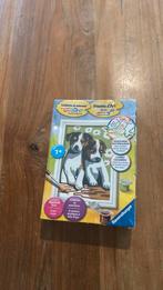 Schilderen op nummer ravensburger, Ophalen of Verzenden, Zo goed als nieuw, Speelkaart(en)