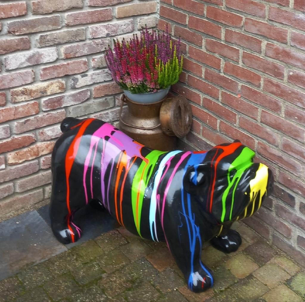 Engelse Bulldog Beeld - Kleurrijk en Modern Design, Tuin en Terras, Tuinbeelden, Ophalen