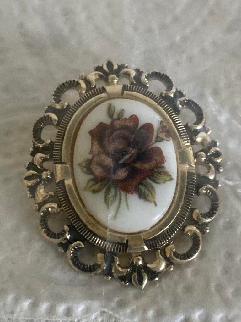 Mooie clip, Ophalen of Verzenden, Zo goed als nieuw, Minder dan 4 cm, Overige materialen