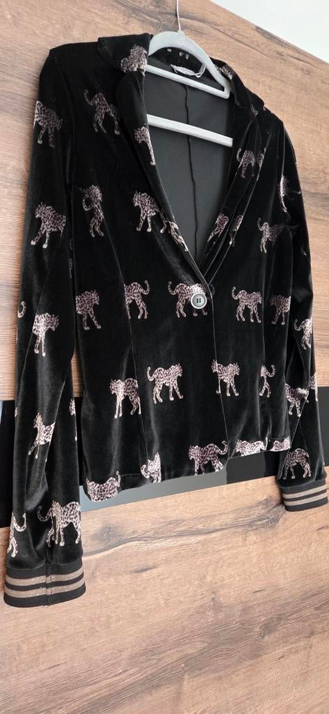 Jasje/vestje, Kleding | Dames, Jasjes, Kostuums en Pakken, Ophalen of Verzenden, Zo goed als nieuw