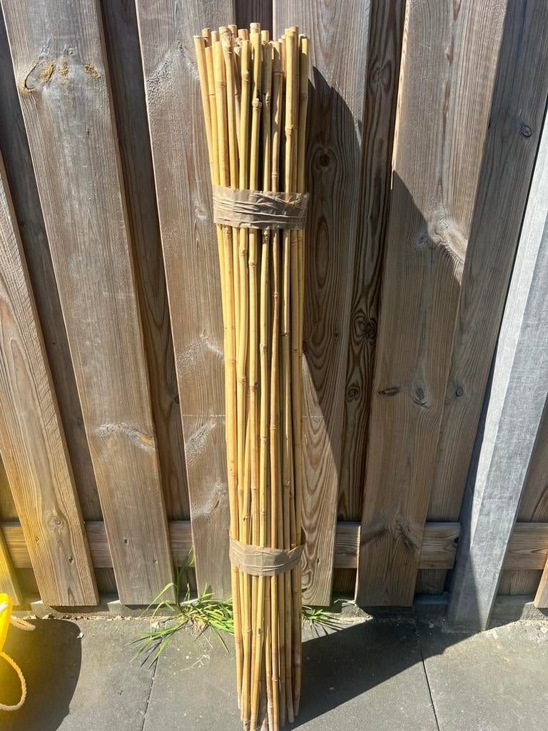 ca. 300 stuks bamboestokken 120cm hoog, Tuin en Terras, Palen, Balken en Planken, Ophalen, Nieuw, Minder dan 180 cm, Overige typen