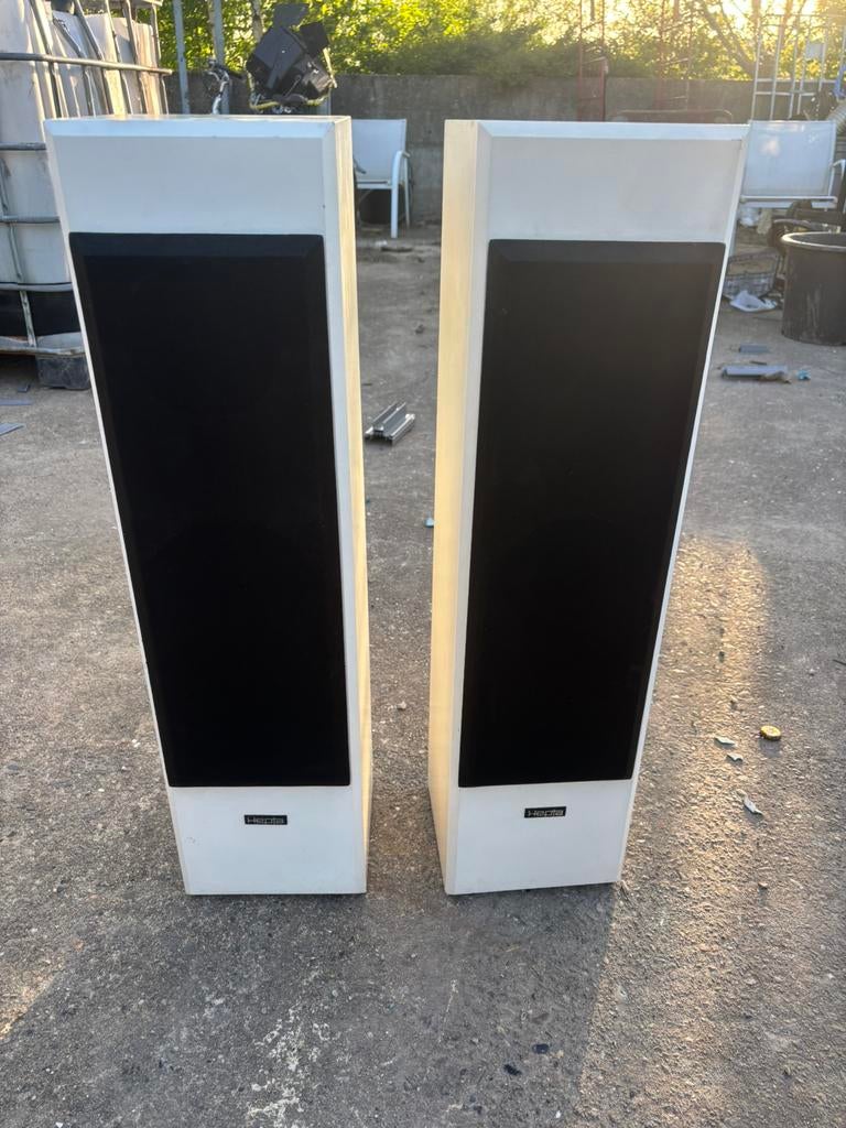 Hepta AT10 design speakers, Overige merken, Ophalen of Verzenden, Zo goed als nieuw, 120 watt of meer