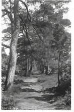 Ede- -De Traa., Verzenden, 1940 tot 1960, Gelopen, Gelderland