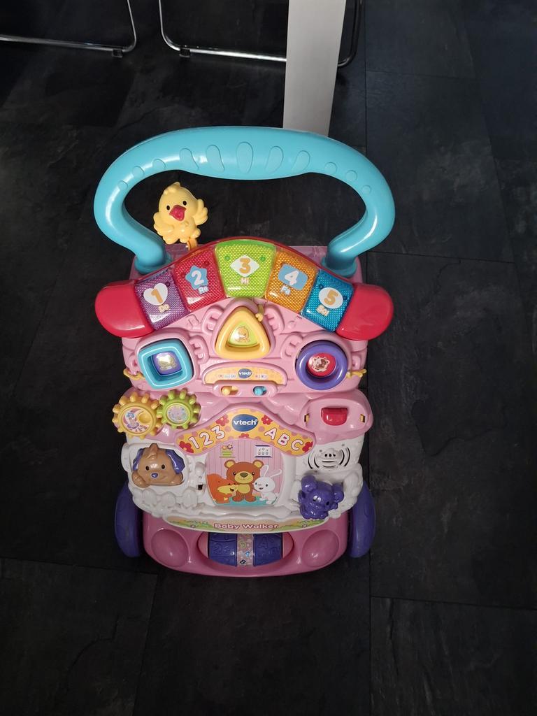 VTech 80-505652 - Baby Walker - Roze - Voor Jongens en Meisjes - Van 9 tot 36 maanden - Nederlands Gesproken