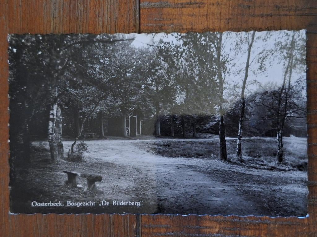Fotokaart Oosterbeek - Bosgezicht "De Bilderberg", Ophalen of Verzenden, Gelopen, Gelderland