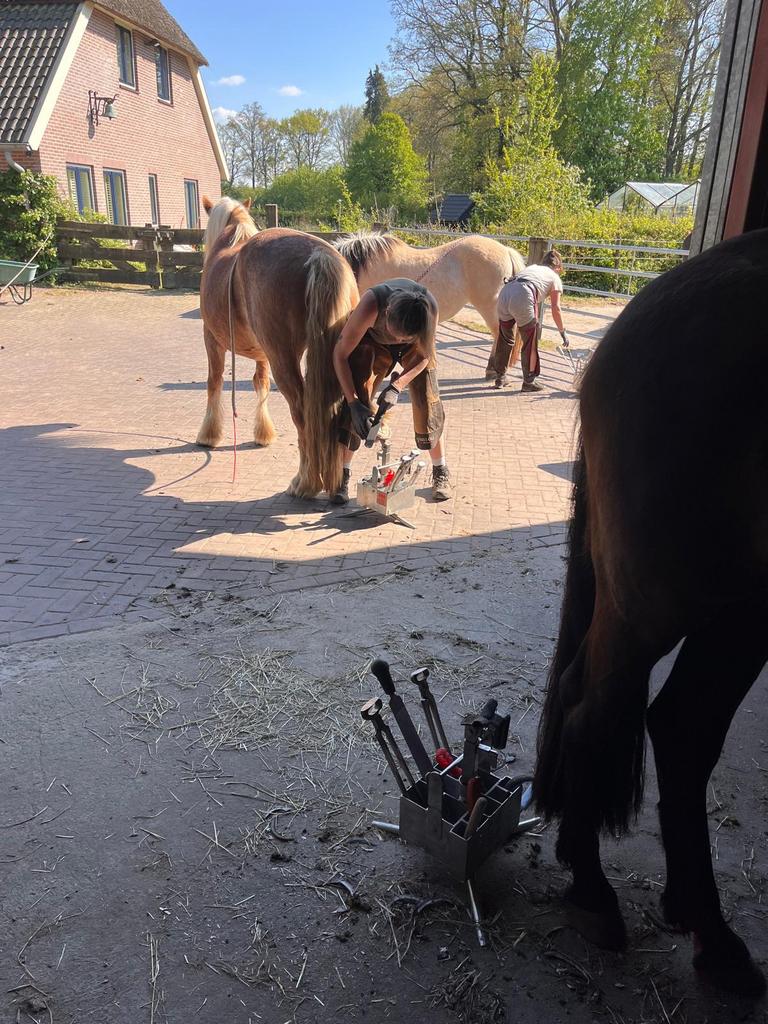 Natuurlijk hoefverzorger