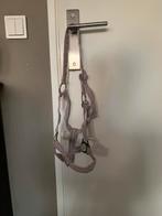 Halster maat cob, Dieren en Toebehoren, Paarden en Pony's | Hoofdstellen en Tuigage, Ophalen of Verzenden, Gebruikt, Overige soorten