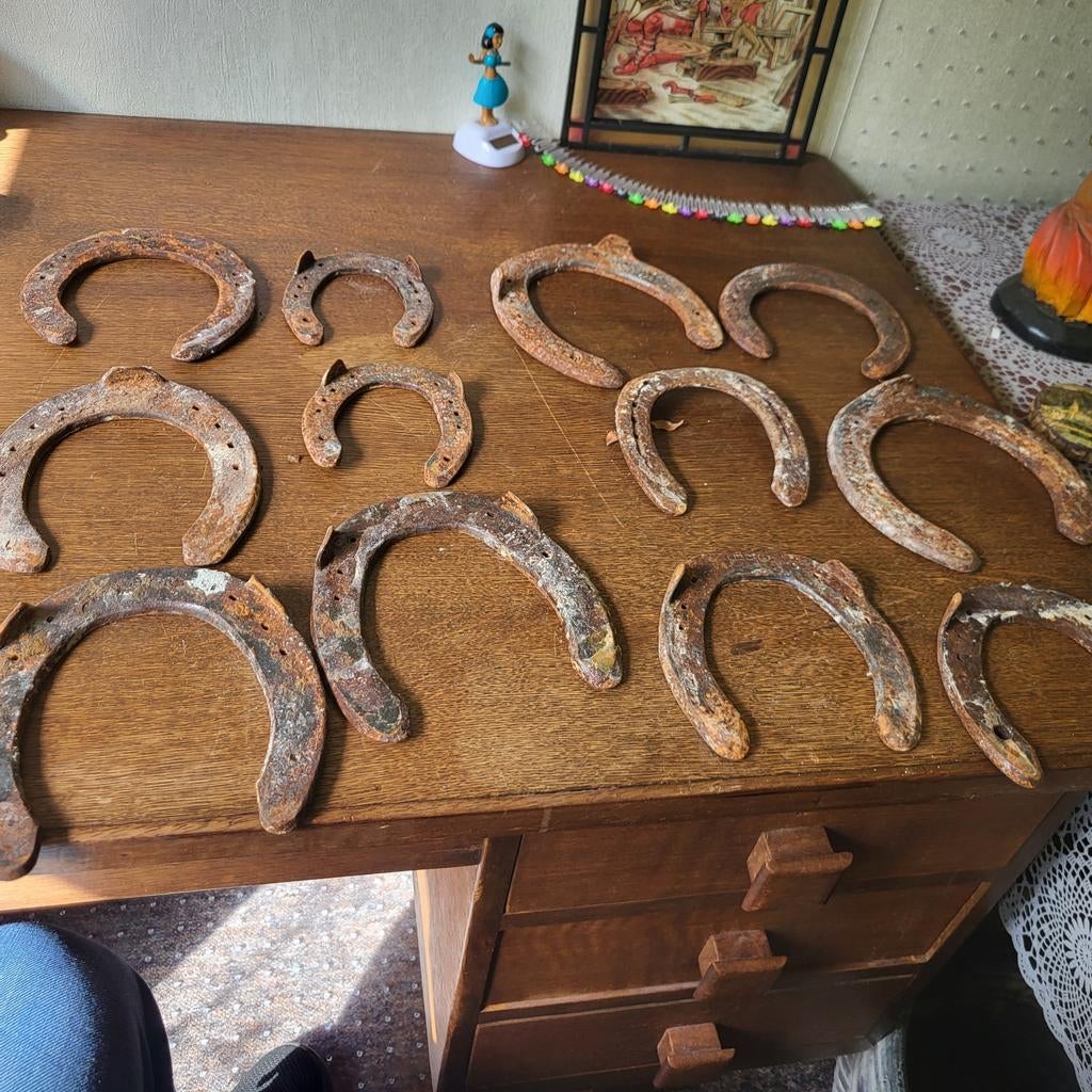 Hoefijzers 12 stuks, Antiek en Kunst, Ophalen of Verzenden