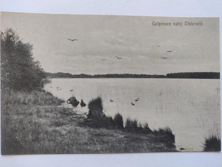 U982 Oisterwijk, Verzamelen, Ansichtkaarten | Nederland, Noord-Holland, 1920 tot 1940, Ophalen of Verzenden