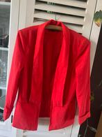Oranje blazer, Kleding | Dames, Jasjes, Kostuums en Pakken, Ophalen of Verzenden, Zo goed als nieuw, Oranje