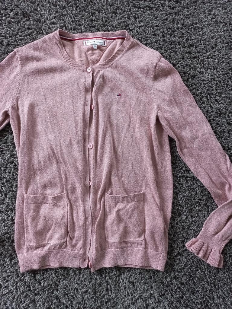 Tommy hilfiger vest, Ophalen of Verzenden, Zo goed als nieuw