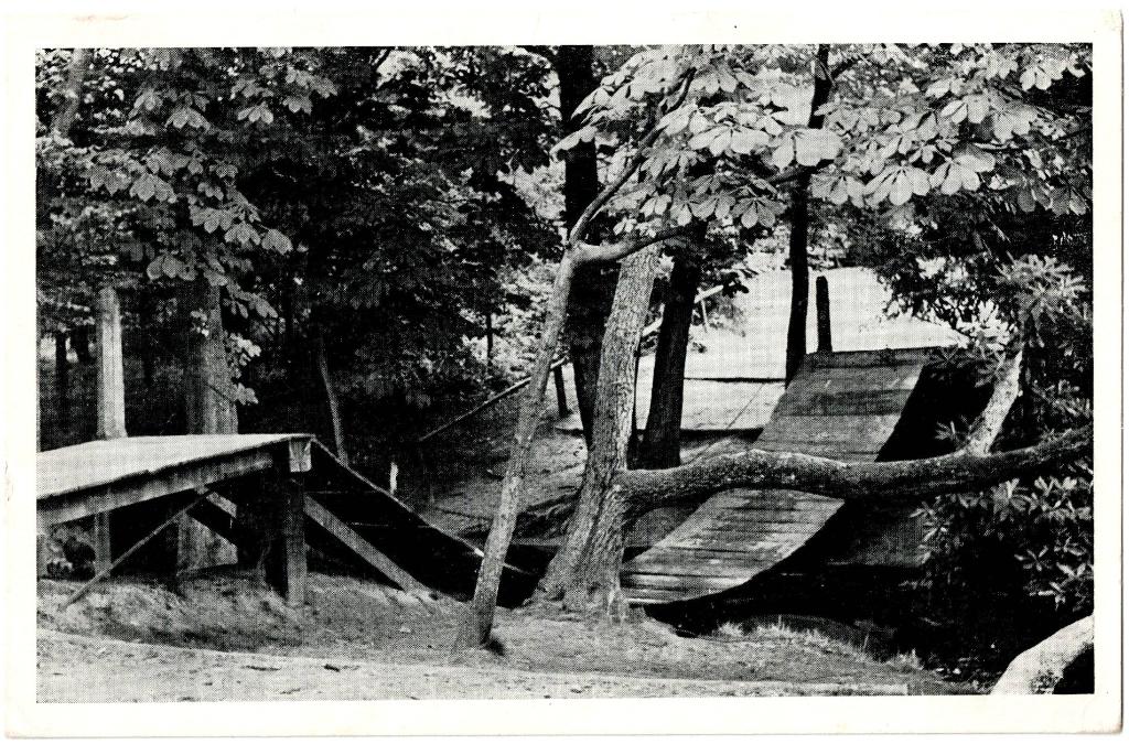 Velp, Kettingbrug Rozendaal 1950, ongelopen, richtprijs 3,50, Verzenden, 1940 tot 1960, Gelopen, Gelderland