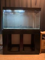 Ciano aquarium (200 liter), Ophalen, Leeg aquarium