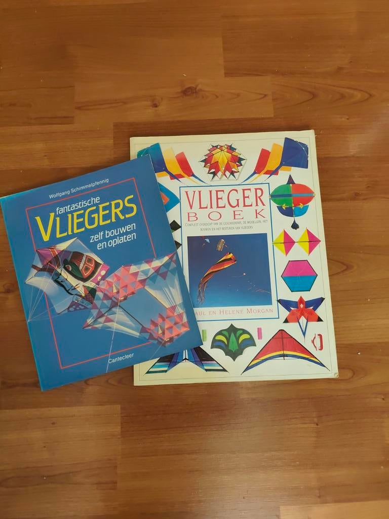 Vliegerboeken: Fantastische Vliegers & Vlieger Boek, Ophalen of Verzenden, Gebruikt, Toebehoren