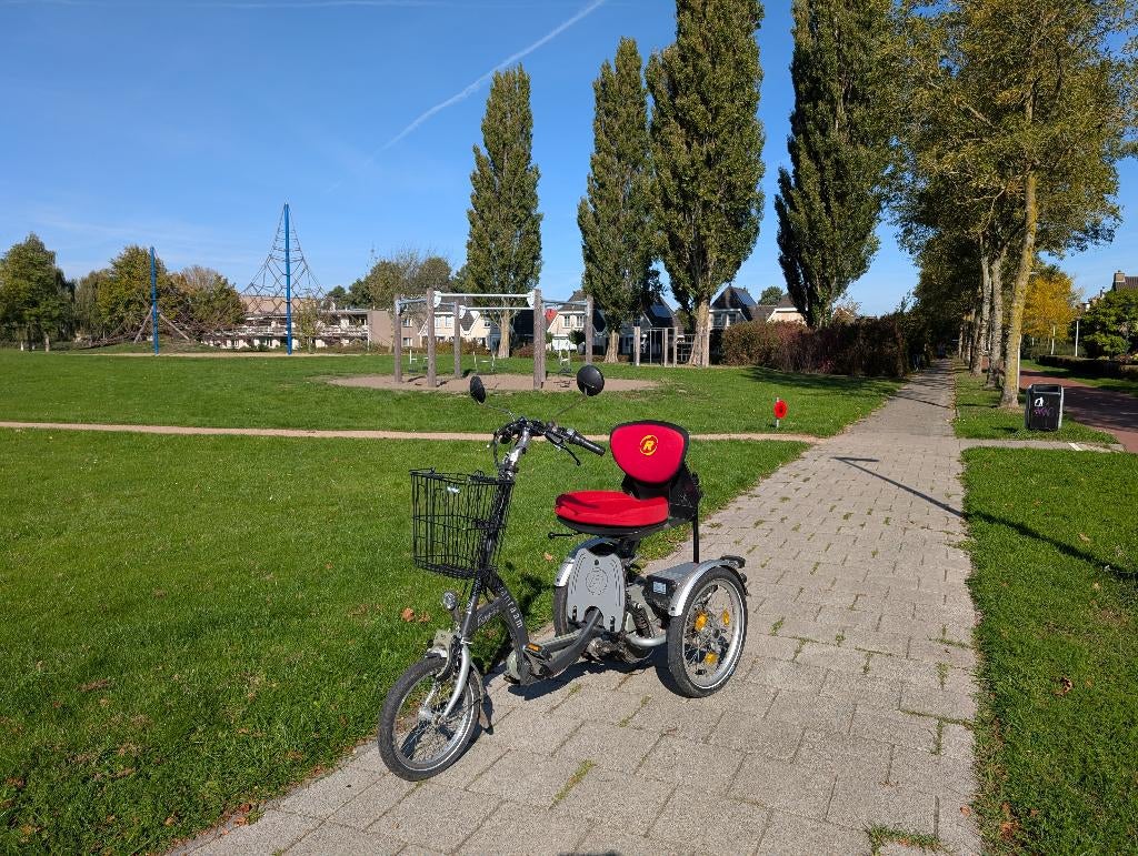 Van Raam Easy Go, Ophalen, Gebruikt, Van Raam