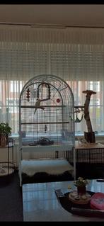 Vogel kooi, Dieren en Toebehoren, Ophalen, Metaal, Vogelkooi