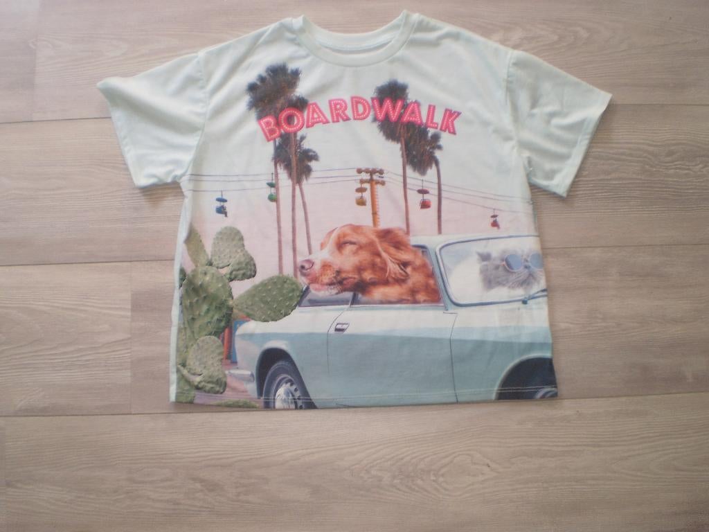 H&M shirtje maat 158-164, Kinderen en Baby's, Kinderkleding | Maat 158, Meisje, H&M, Ophalen of Verzenden, Zo goed als nieuw