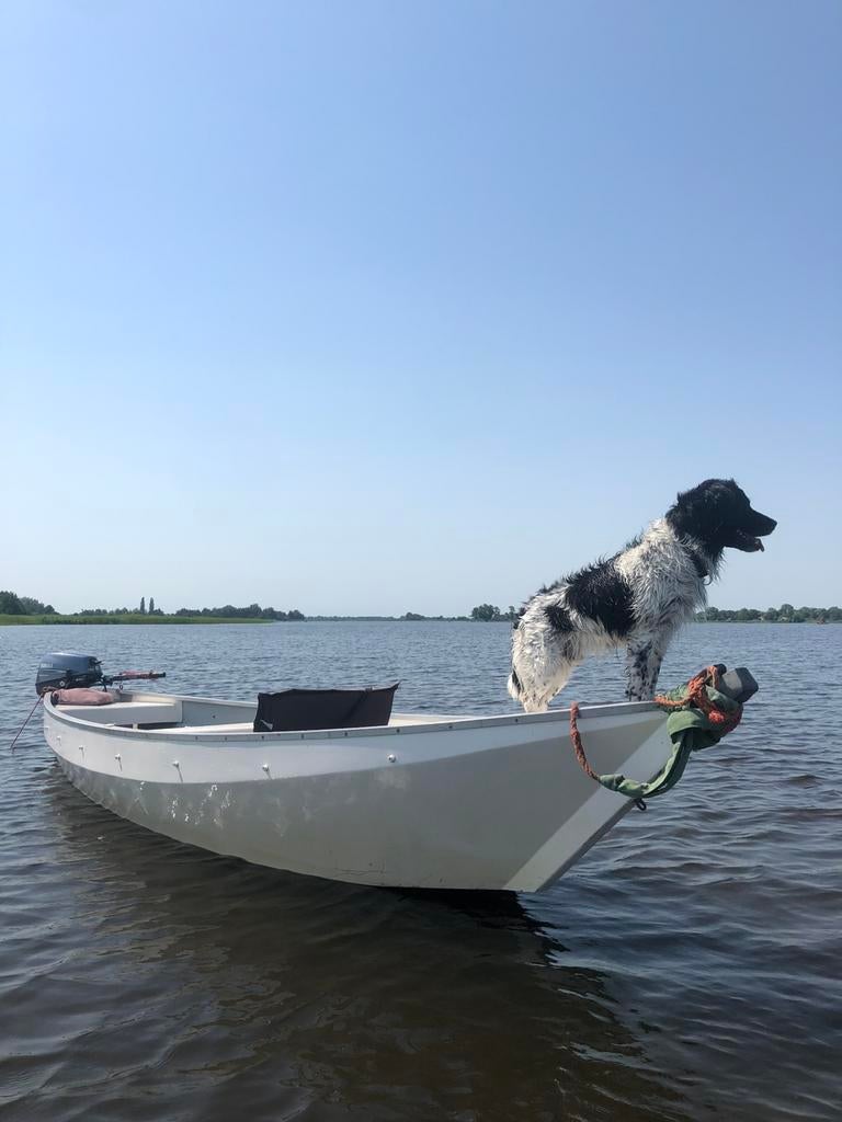 Gieterse punter polyester Whisper 5.30m / Yamaha 8pk 4-takt, Watersport en Boten, Ophalen, Tot 10 pk, Zo goed als nieuw, 3 tot 6 meter