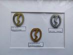 CNG emblemen, Ophalen of Verzenden, Landmacht, Nederland, Embleem of Badge