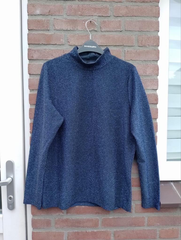Prachtige col truitje van Hema,42 marine met glitter, Verzenden, Zo goed als nieuw, Maat 42/44 (L), Blauw