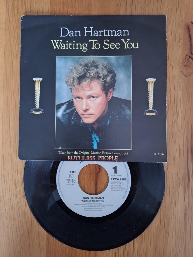 Dan Hartman - Waiting To See You - Vinyl Single, Gebruikt, 7 inch, Ophalen of Verzenden, Pop