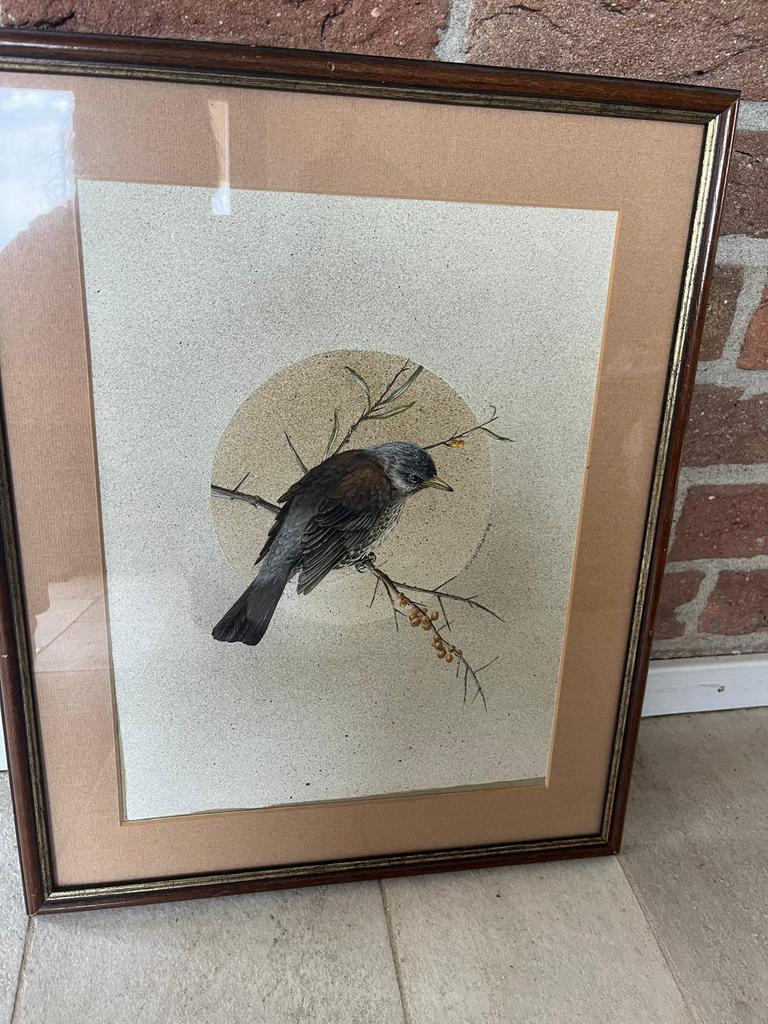 Oude schilderij met vogel, Antiek en Kunst, Kunst | Schilderijen | Klassiek, Ophalen of Verzenden