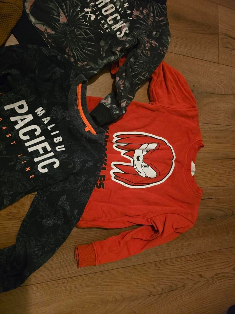 4 truien en 1 longsleeve maat 110/116, Kinderen en Baby's, Kinderkleding | Maat 110, Ophalen of Verzenden, Gebruikt, Jongen, Trui of Vest