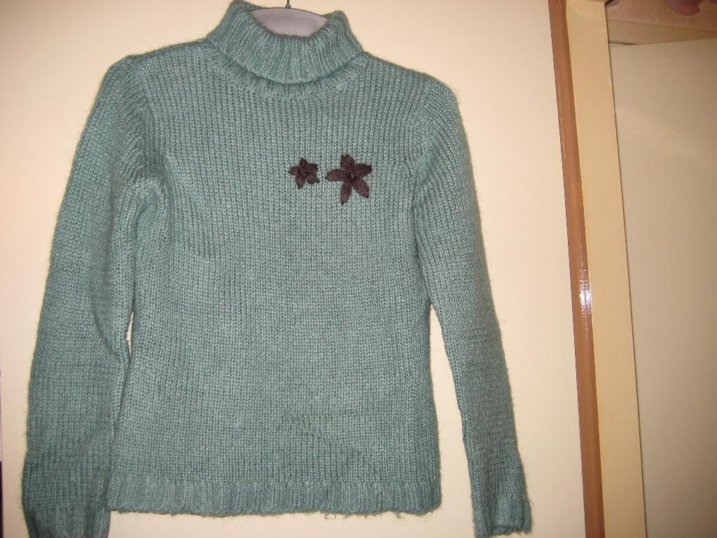 Groene coltrui, M, Urbanwoman, Kleding | Dames, Ophalen of Verzenden, Zo goed als nieuw, Maat 38/40 (M), Groen