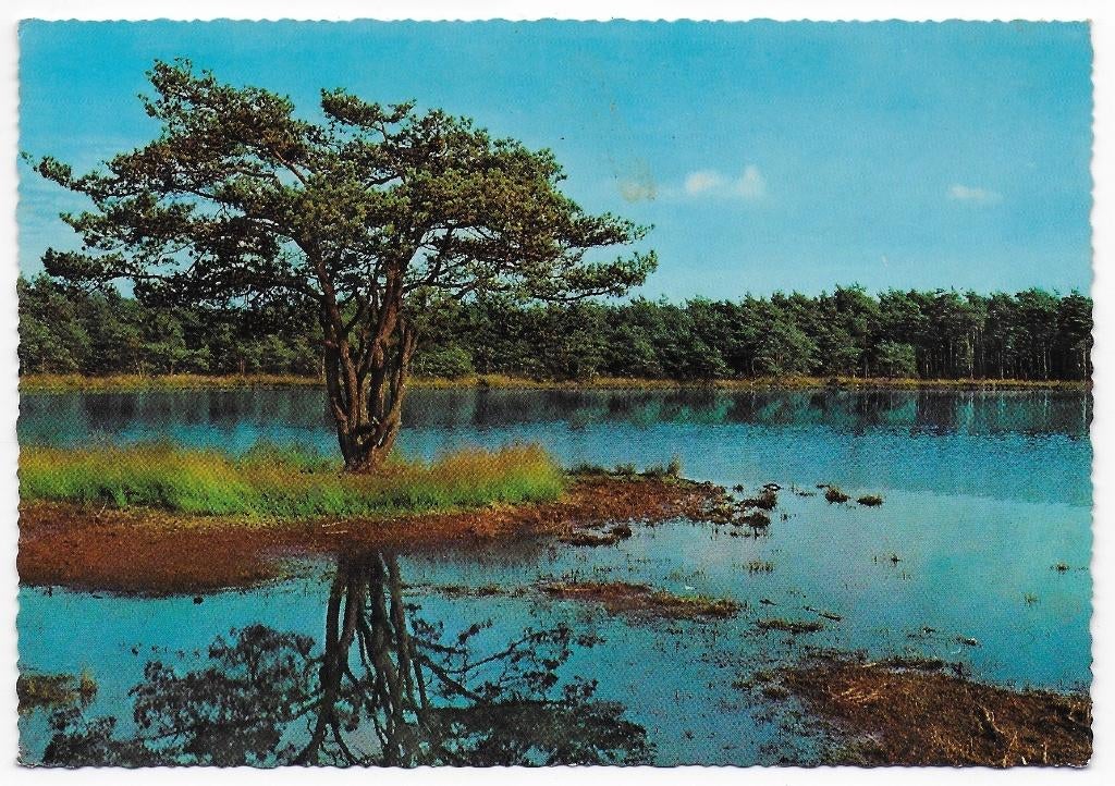 Chaam Rondven Gelopen Ansichtkaart ( B5916 ), Ophalen of Verzenden, 1980 tot heden, Gelopen