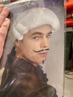 Lakeien Pakken en Pruiken, Ophalen of Verzenden, Zo goed als nieuw, Maat 46/48 (XL) of groter, Carnaval