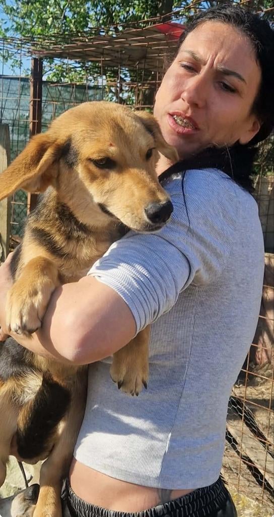 Timmy en Tommy zoeken een lief baasje, Dieren en Toebehoren, Particulier, 15 weken tot 1 jaar, Reu, Buitenland