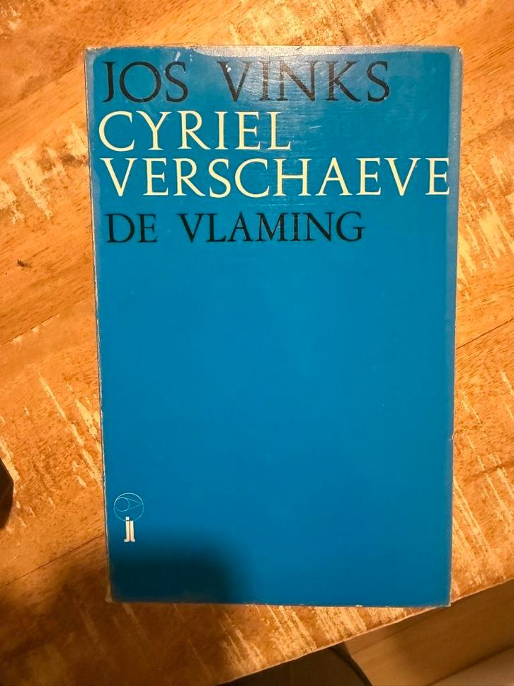 Cyriel Verschaeve, de Vlaming - Jos Vinks, Boeken, Politiek en Maatschappij, Gelezen, Politiek en Staatkunde, Europa, Ophalen of Verzenden